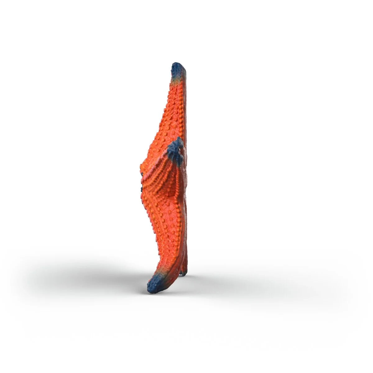 Schleich - Farm World - Starfish with color change (14902)