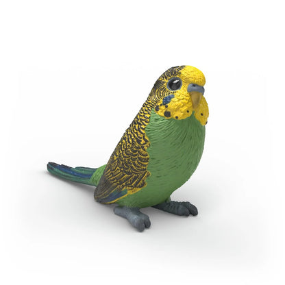 Schleich - Farm World - Budgie (14939)
