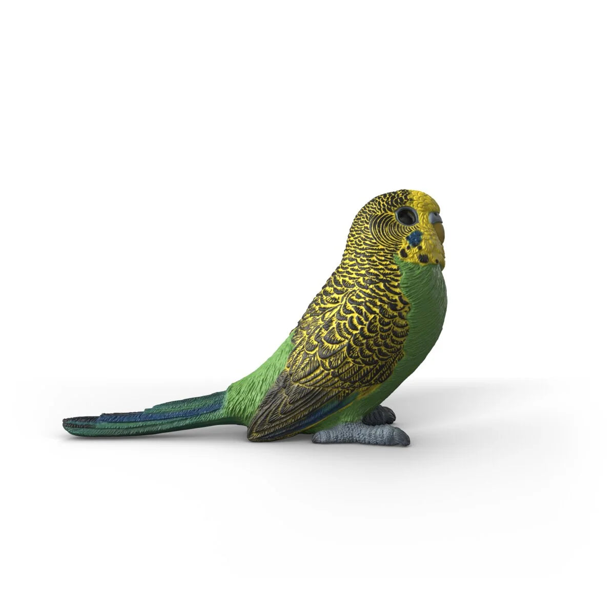 Schleich - Farm World - Budgie (14939)