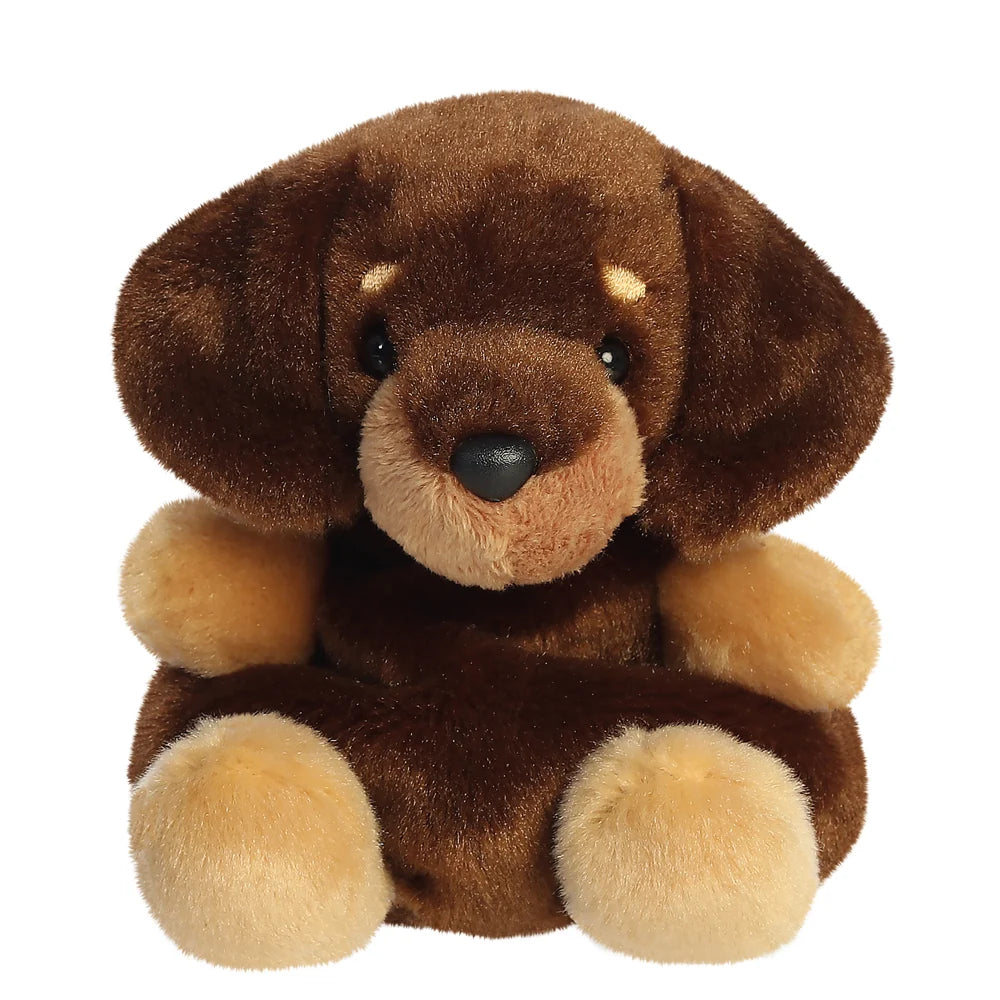 Palm Pals - Houdini Dachshund