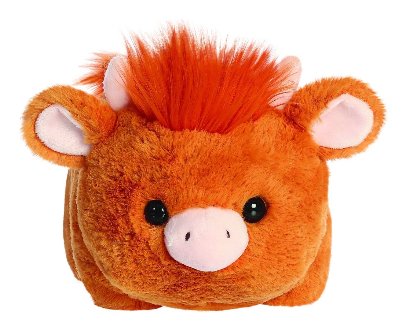 Spudsters - Hamish Highland Cow