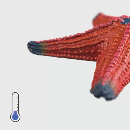 Schleich - Farm World - Starfish with color change (14902)