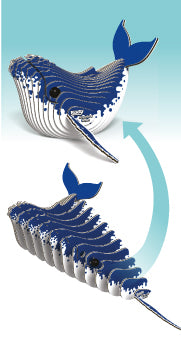 EUGY - Humpback Whale