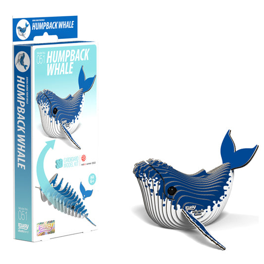 EUGY - Humpback Whale