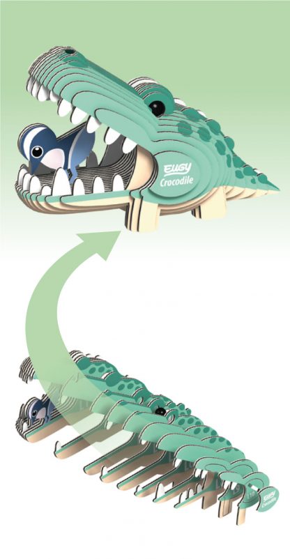 EUGY - Crocodile