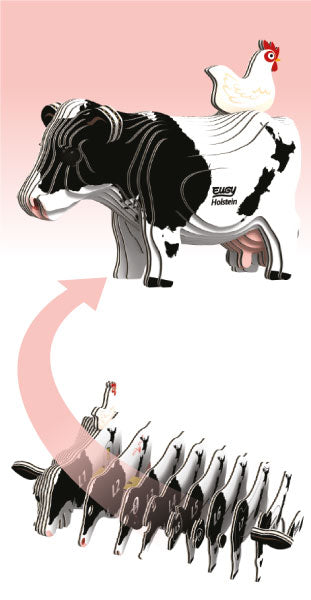 EUGY - Holstein Friesian Cow