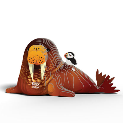 EUGY - Walrus