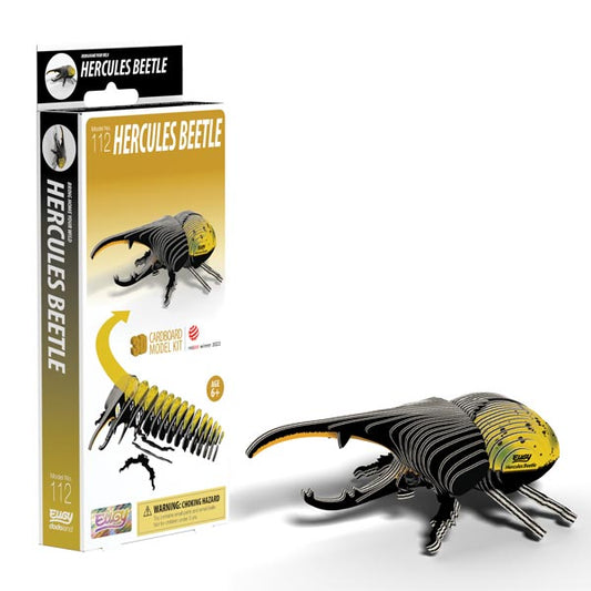 EUGY - Hercules Beetle