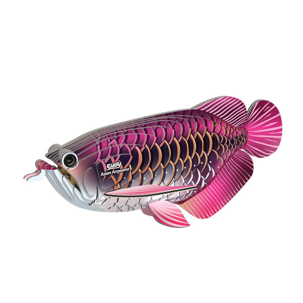 EUGY - Asian Arowana