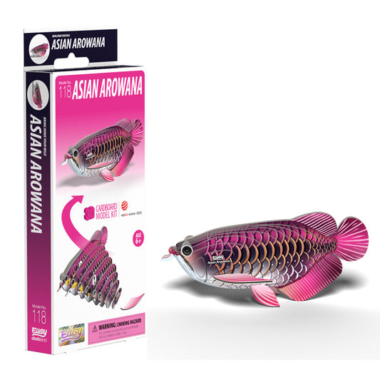 EUGY - Asian Arowana