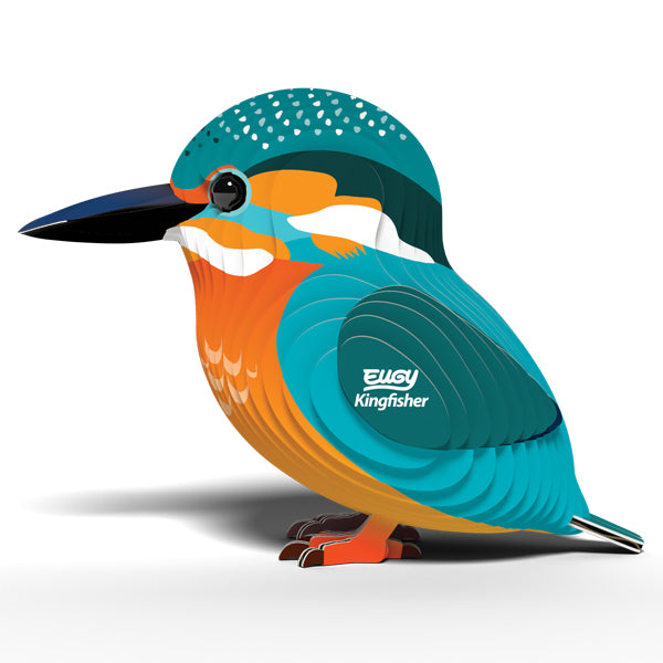 EUGY - Kingfisher