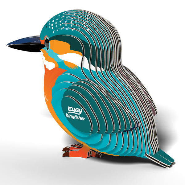 EUGY - Kingfisher