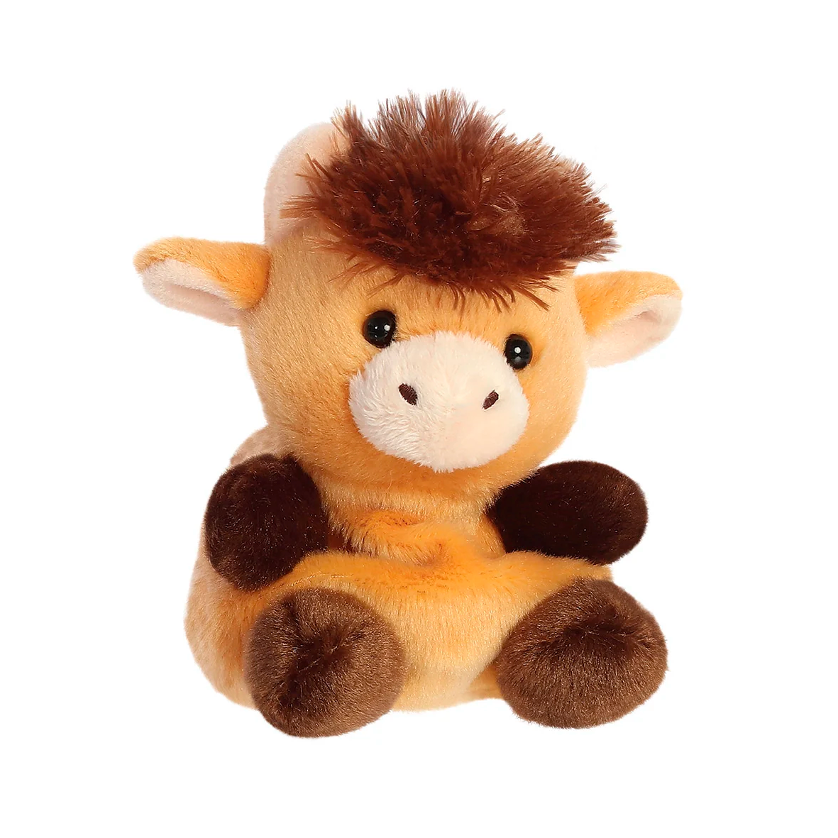Palm Pals - Hubert Highland Cow