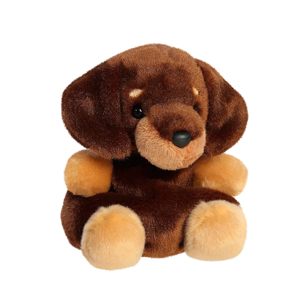 Palm Pals - Houdini Dachshund