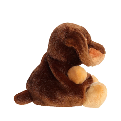 Palm Pals - Houdini Dachshund