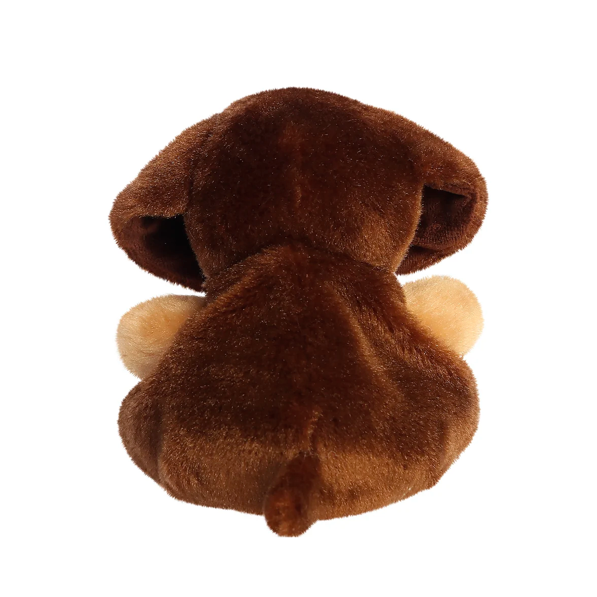 Palm Pals - Houdini Dachshund