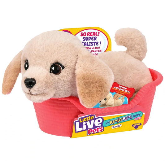 Little Live Pets - My Really Real Puppy Minis - Buddy