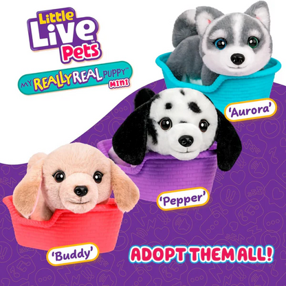 Little Live Pets - My Really Real Puppy Minis - Pepper
