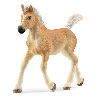Schleich - Farm World - Haflinger Foal (13951)
