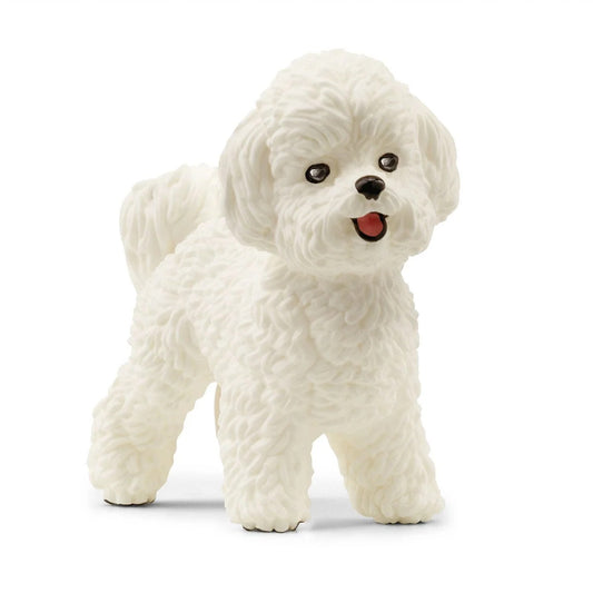 Schleich - Farm World - Bichon Frise (13963)
