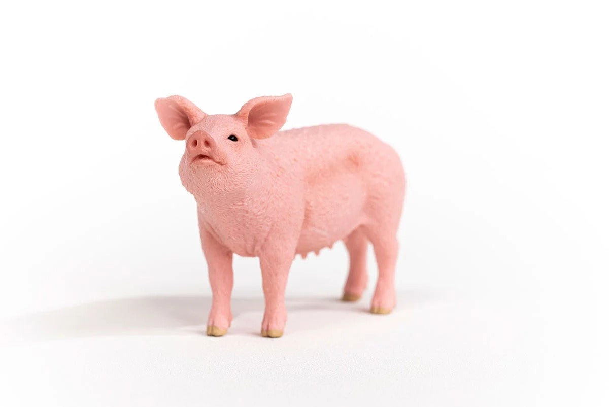 Schleich - Farm World - Pig (13933)