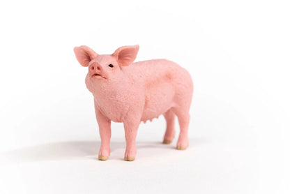 Schleich - Farm World - Pig (13933)