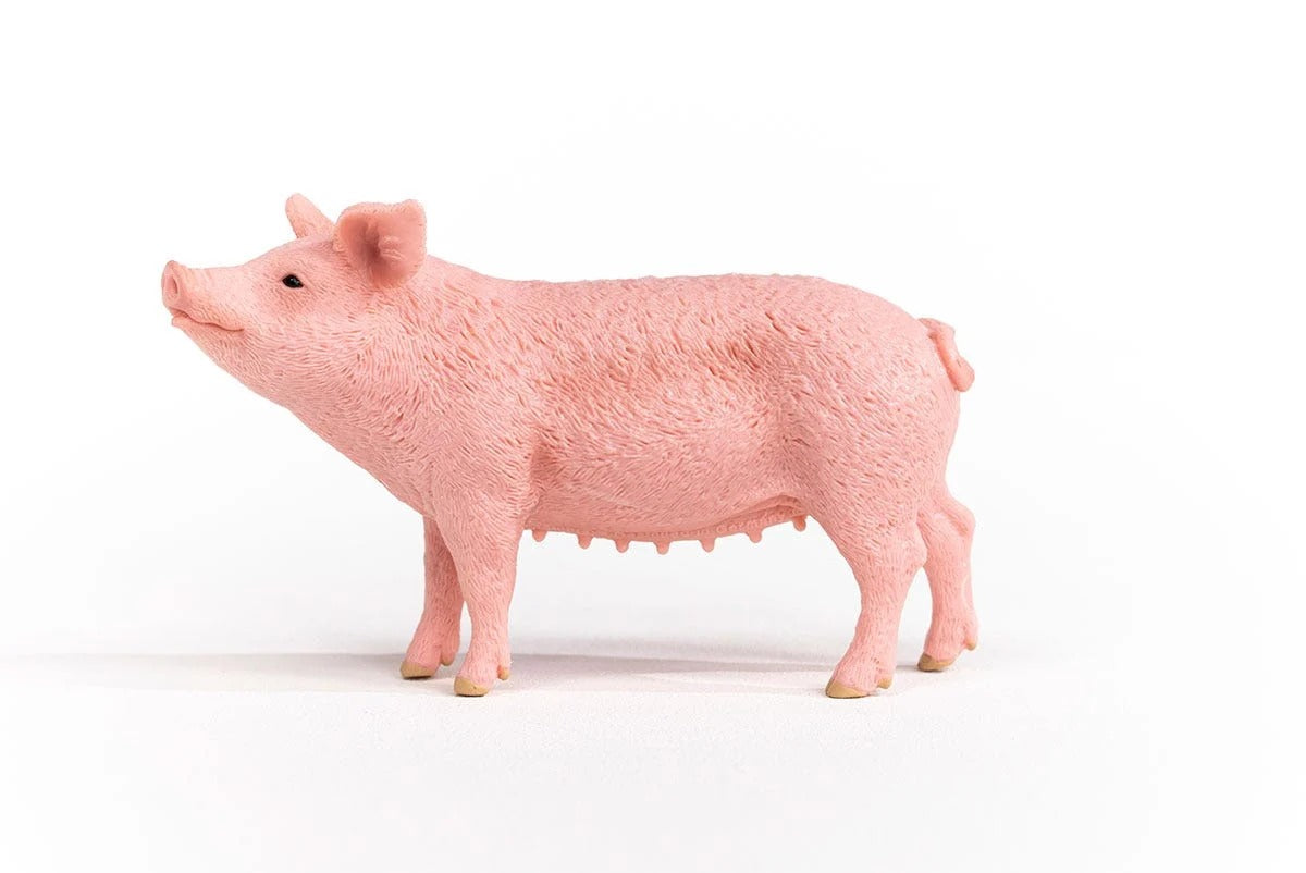 Schleich - Farm World - Pig (13933)