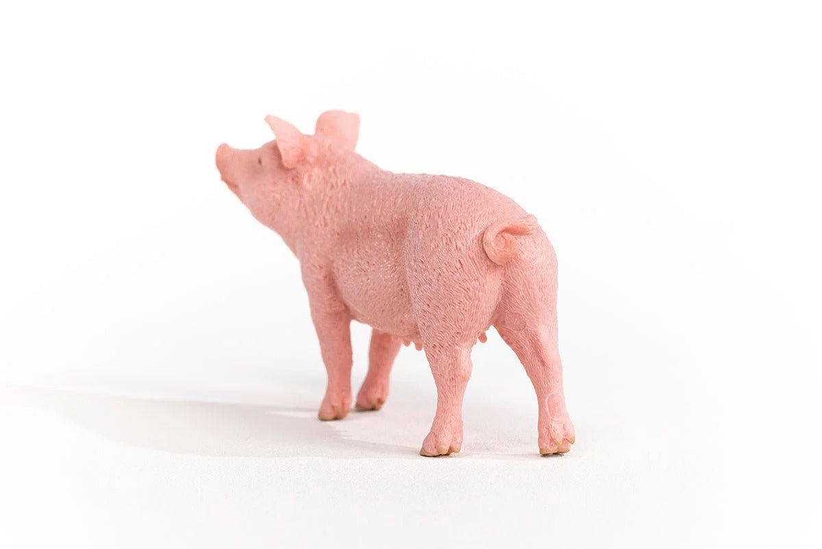 Schleich - Farm World - Pig (13933)