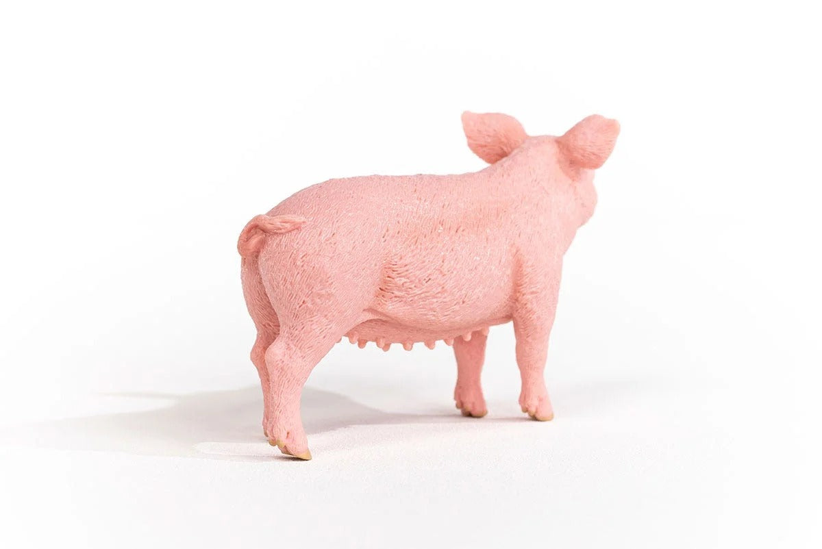 Schleich - Farm World - Pig (13933)