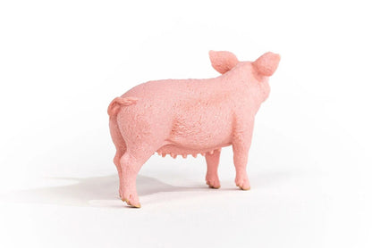 Schleich - Farm World - Pig (13933)