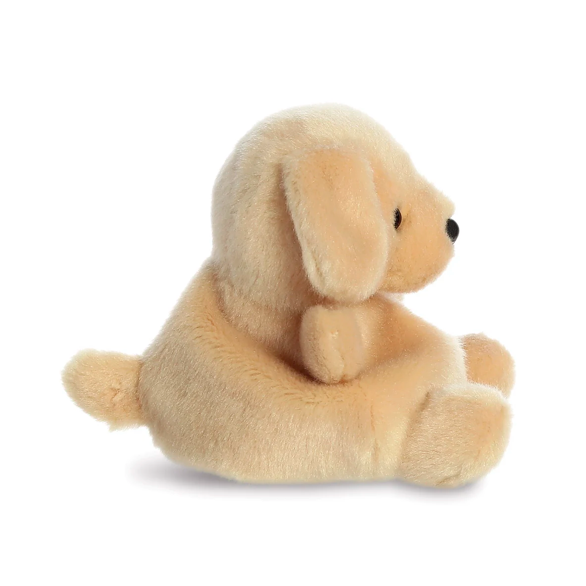 Palm Pals - Sunny Labrador