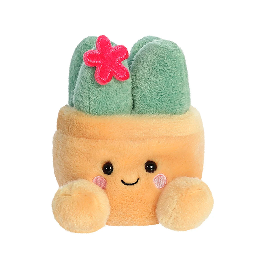 Palm Pals - Seyla Succulent