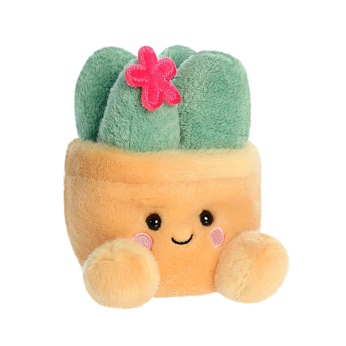 Palm Pals - Seyla Succulent