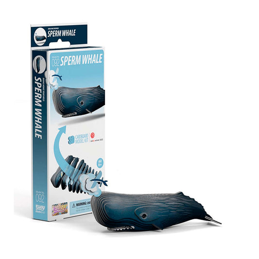 EUGY - Sperm Whale