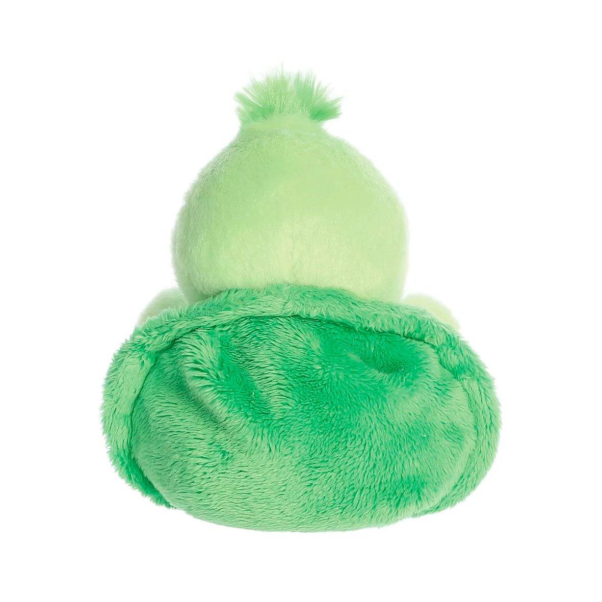 Palm Pals - Tiny Turtle
